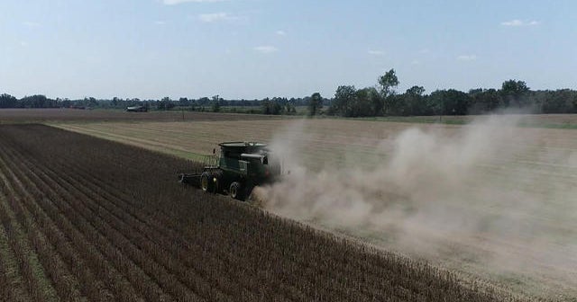 Extreme heat and drought in South lead to costly crop losses for ...