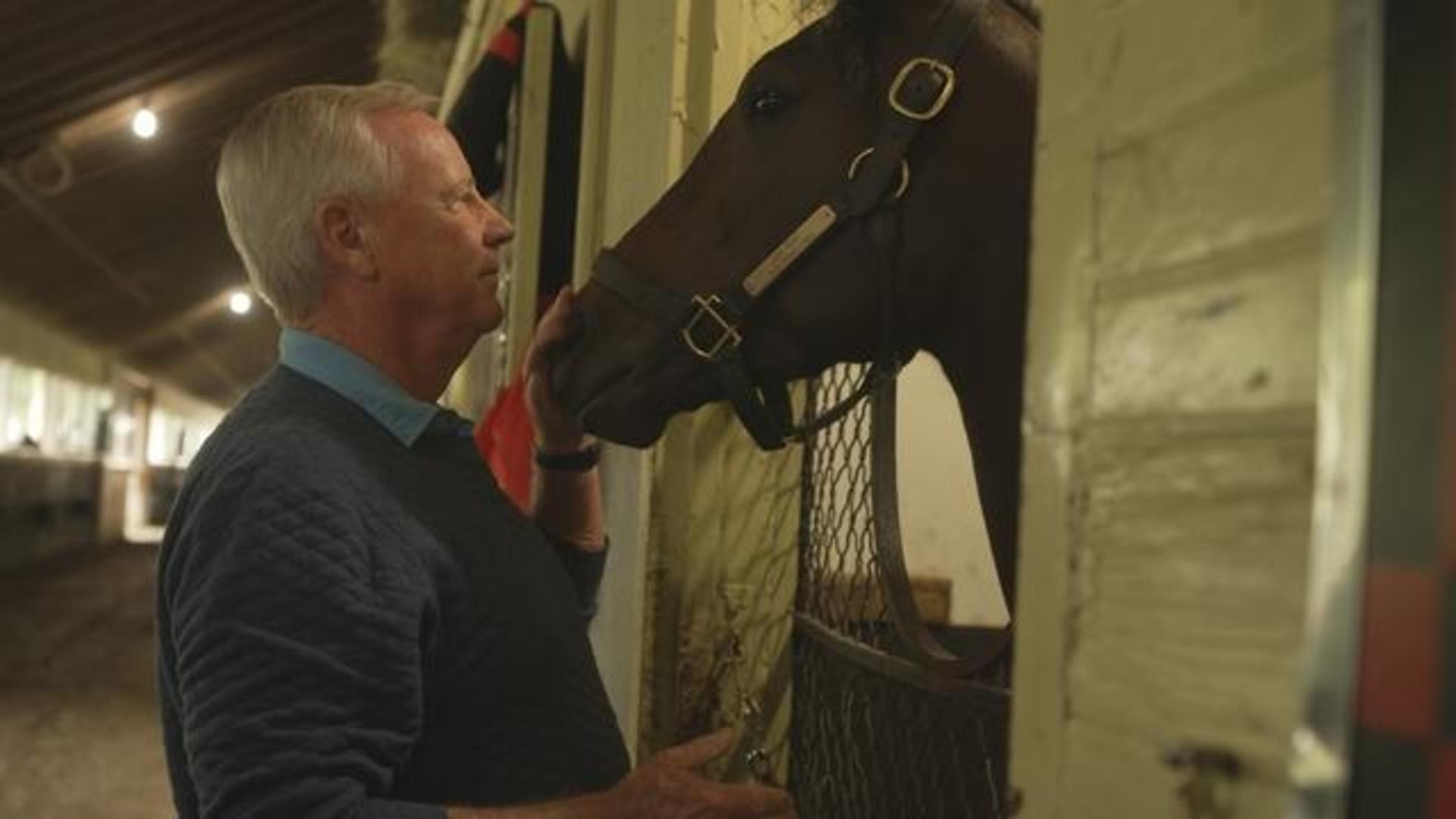 Horse racing watchdog works to improve safety, end doping | 60 Minutes