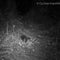 Video captures long-lost species named after David Attenborough