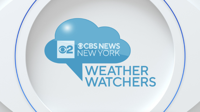 CBS New York - Breaking News, Sports, Weather, Traffic and the Best of NY