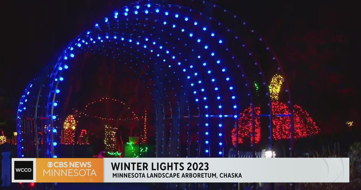 Previewing The Minnesota Landscape Arboretum's Winter Lights Display ...