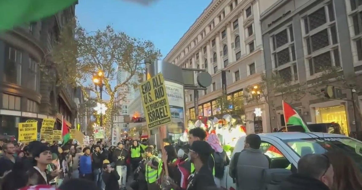 APEC Summit draws protests from various groups to San Francisco's ...