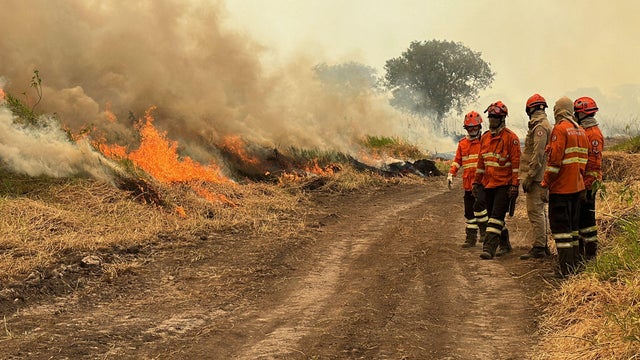 BRAZIL-PANTANAL-ENVIRONMENT-FIRE-DROUGHT 