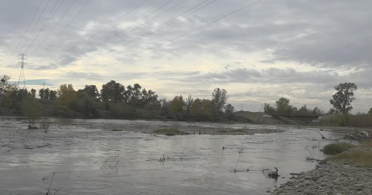 Lower Yuba River project helps create safer home for salmon population, reduces flood risk
