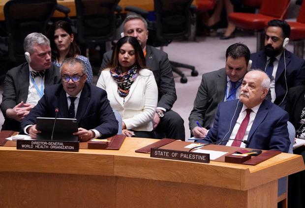Dr. Riyad Mansour (right), Palestinian Ambassador to the UN, attends a Security Council meeting on the Israel-Hamas war on November 10, 2023. 