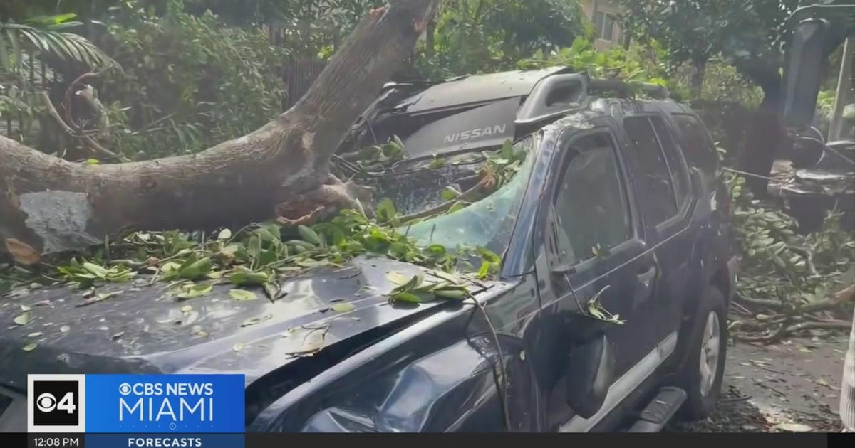 Miami Beach front clean up up right after windy, rainy day