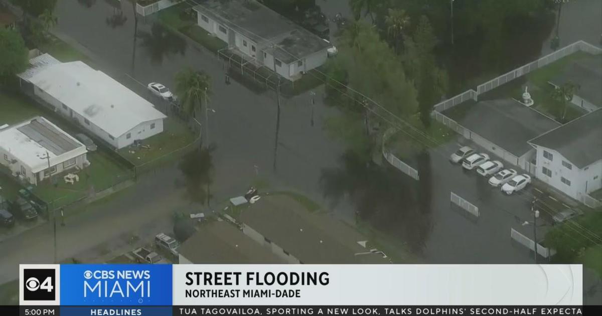 Street flooding in NE Miami-Dade - CBS Miami