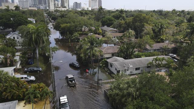 Rainy Florida 