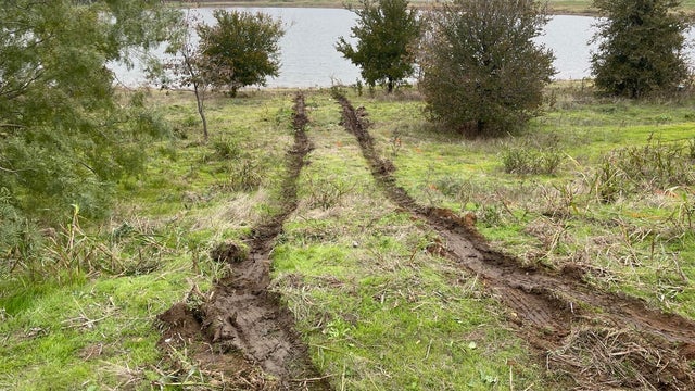 Police lights generic 