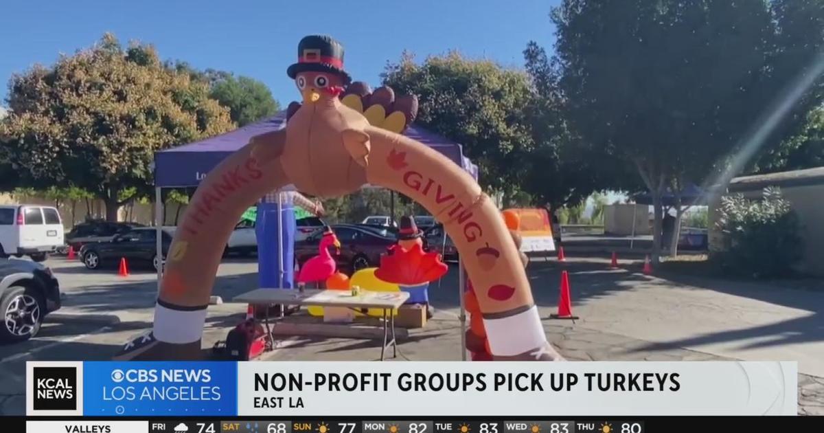 Nonprofit groups gather turkeys for Thanksgiving giveaways CBS Los