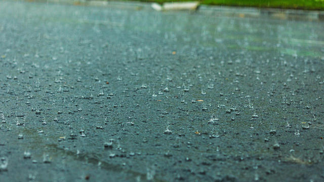 Raindrops on asphalt. Weather. Background. Rain 
