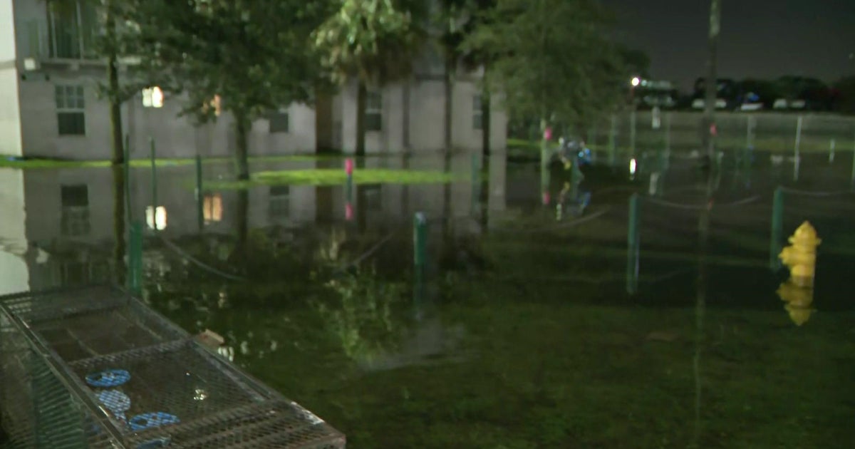 Opa-locka condominium sophisticated with extensive historical past of challenges, now afflicted by flooding Opa-locka condominium sophisticated with extensive historical past of challenges, now afflicted by flooding