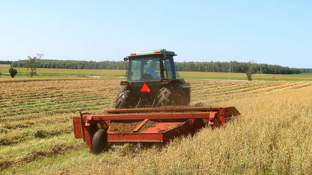 Agriculture in Canada showing grain harvest in rural Ontario 