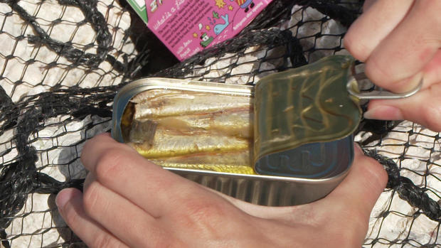 tinned-sardines.jpg 