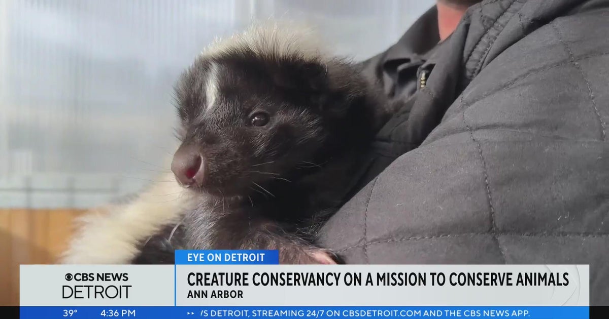 Creature Conservancy shares rescued animals with community in Ann Arbor ...