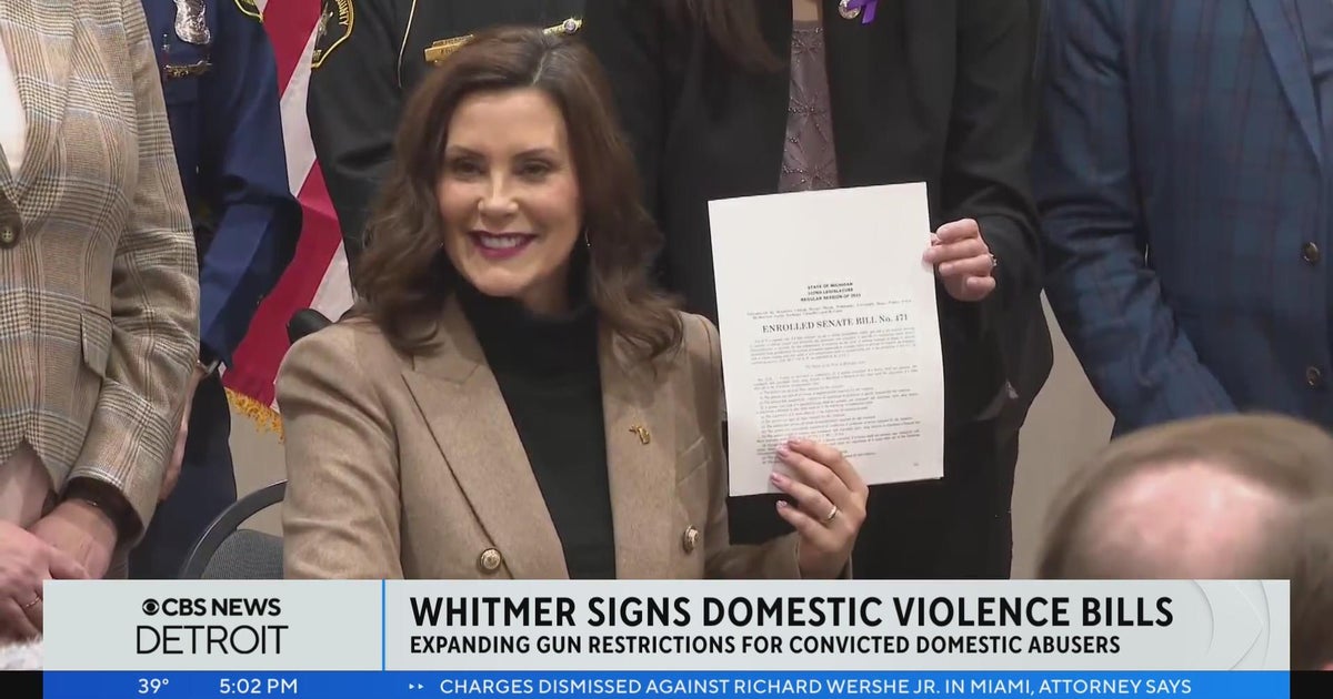 Michigan overhauls gun laws with extended firearm ban for misdemeanor ...