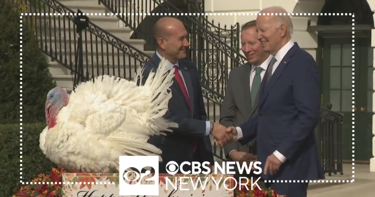 Watch: President Biden Pardons "Liberty" And "Bell" Turkeys Ahead Of ...