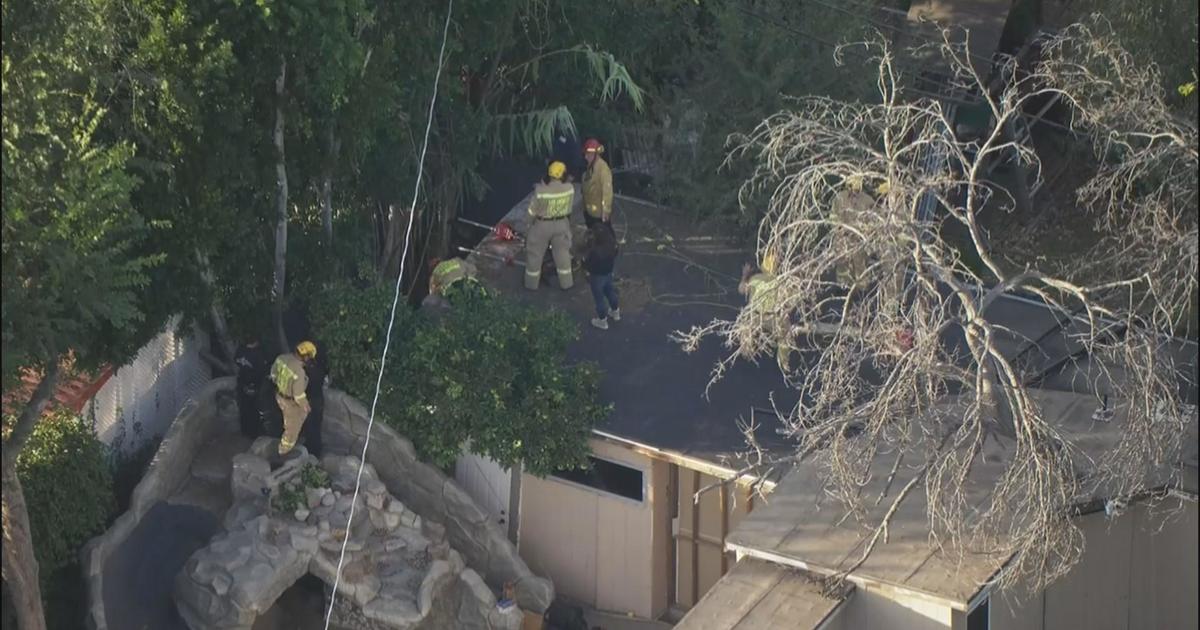 Missing person’s remains discovered in backyard of LA home