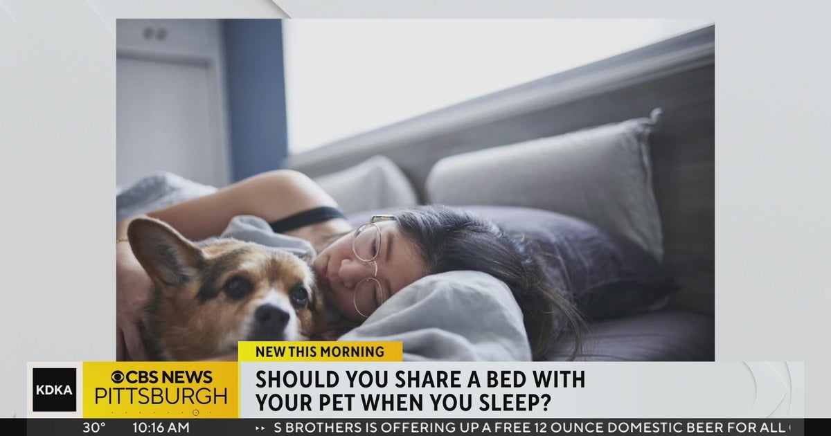 Should you share a bed with your pet when you sleep? CBS Pittsburgh