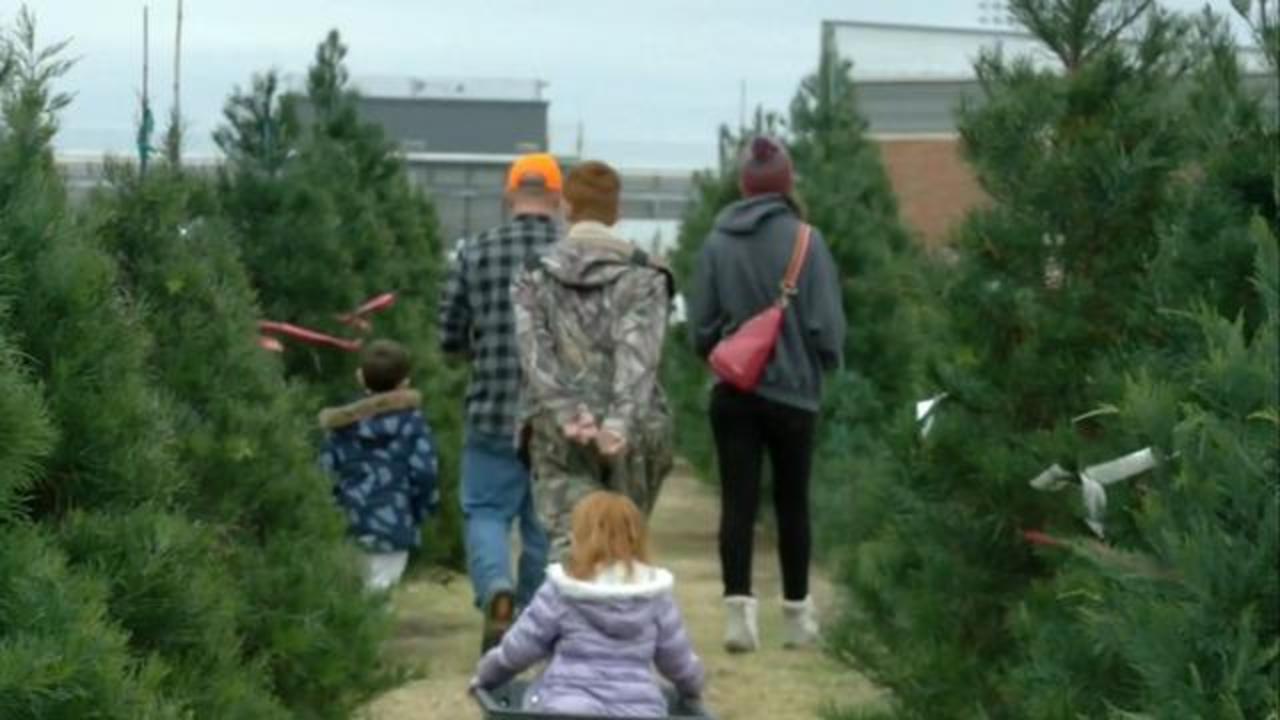 For many locals, it's time to buy Christmas trees