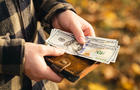 Leather wallet with dollar bills in male hands on a blurred nature background. 