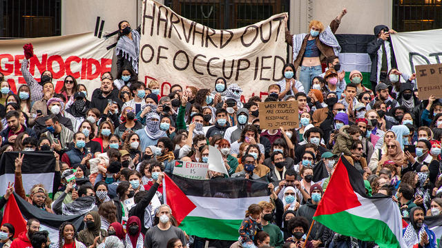 Harvard Gaza protest 