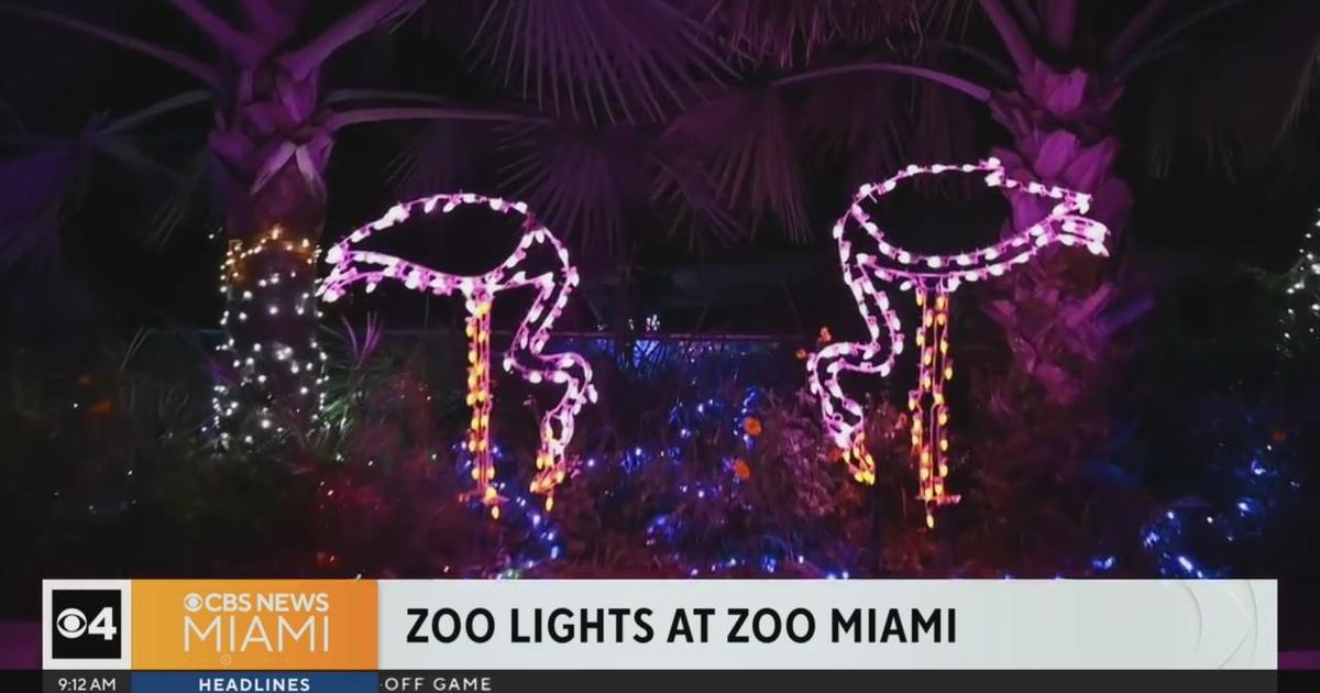 Zoo Lights at Zoo Miami get you into the festive spirit