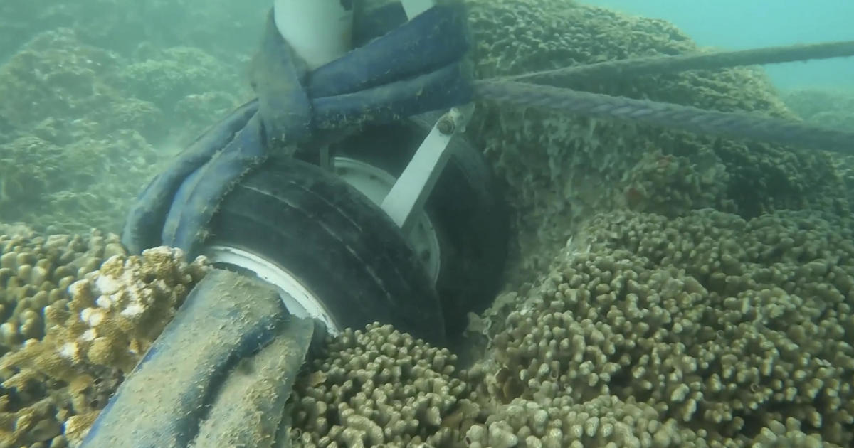 Underwater video shows Navy spy plane's tires resting on coral after crashing into Hawaii bay