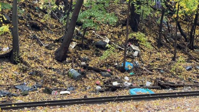 A variety of garbage and litter on a hillside along railroad tracks. 