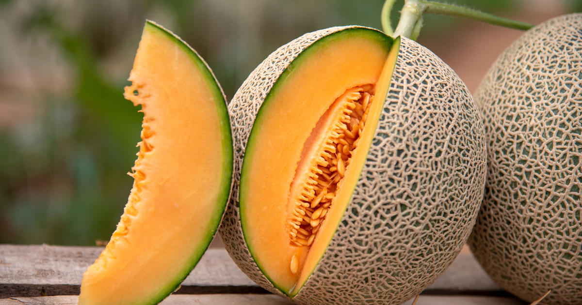 Qué saber sobre los melones Recuerda los peligros de la mortal salmonella