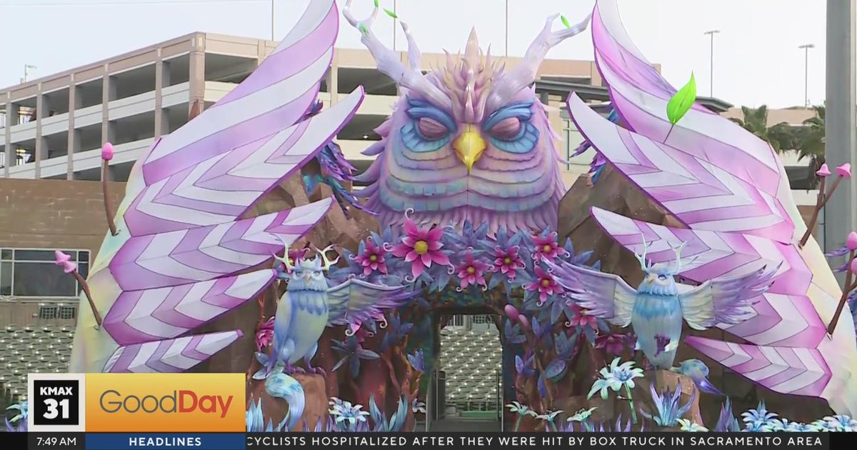 Stockton Lantern Festival Good Day Sacramento