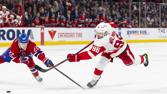Detroit Red Wings v Montreal Canadiens 