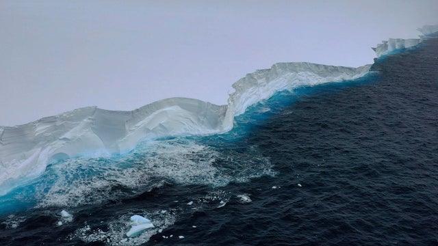 World's biggest iceberg could be on collision course with Antarctic penguin island: Game of Thrones-esque