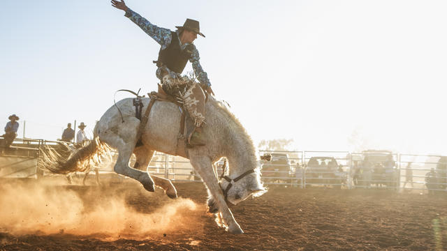 A bucking horse at a rodeo in central Queensland, Australia. 