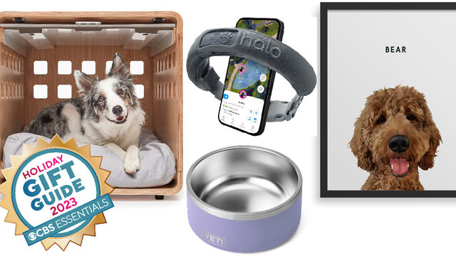 gifts for pets 