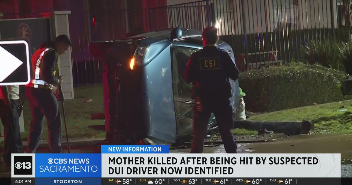 Mother killed after being hit by suspected drunk driver now identified(02)