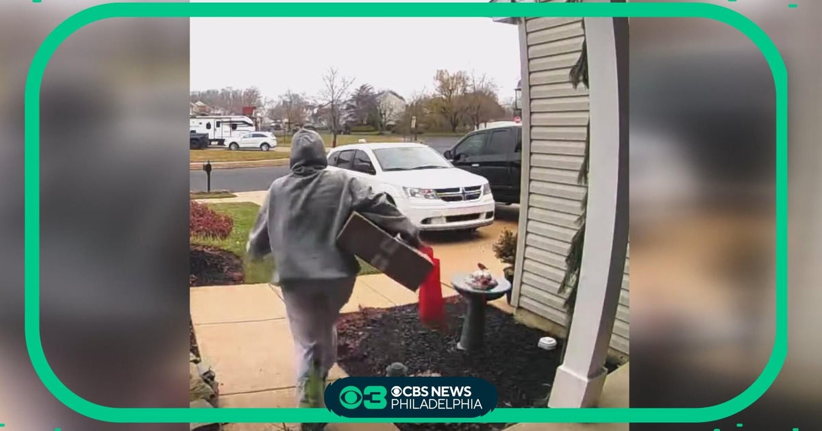 Porch pirate allegedly hits officer with vehicle while eluding arrest