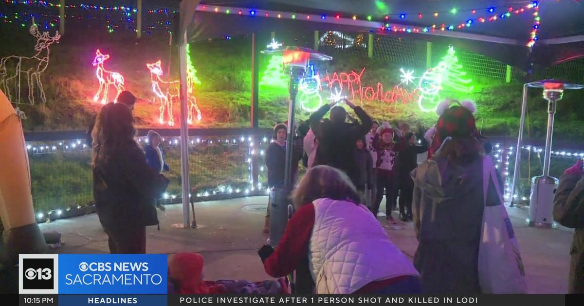 See animals in Christmas lights during evening tours at Folsom zoo