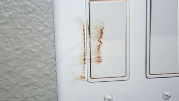 Andreen McDonald evidence