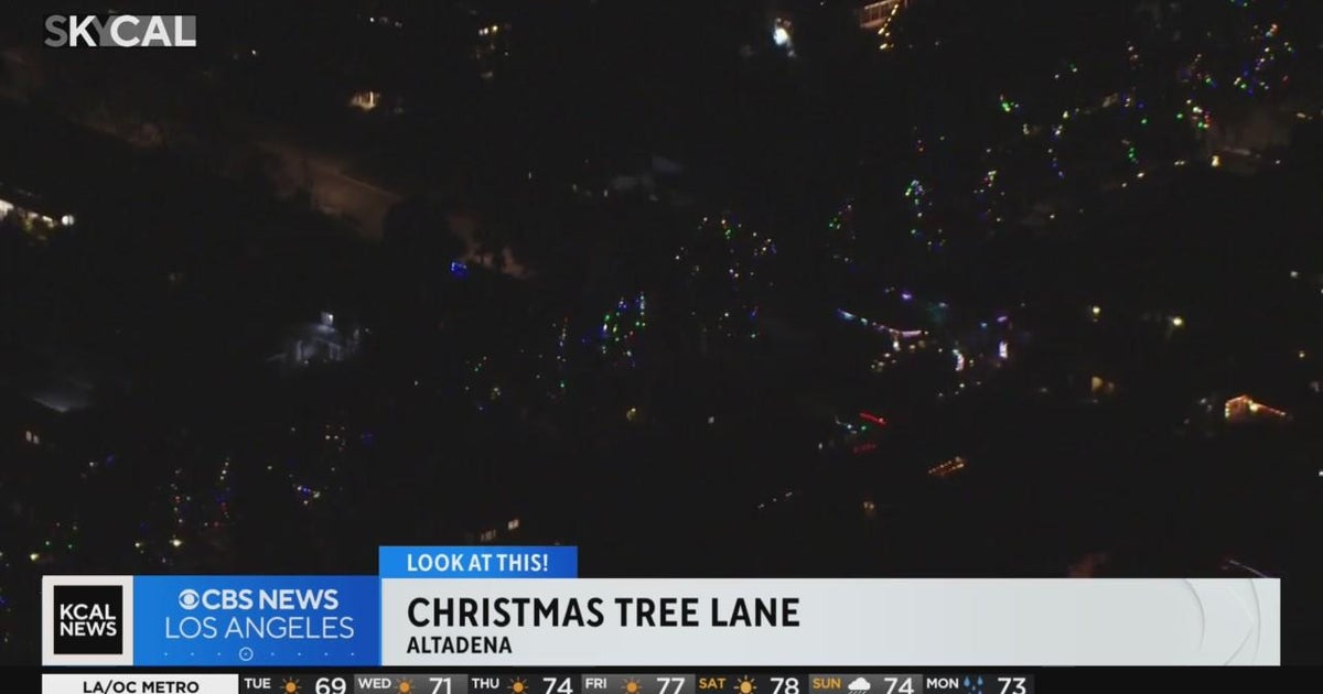 Christmas Tree Lane Look At This! CBS Los Angeles