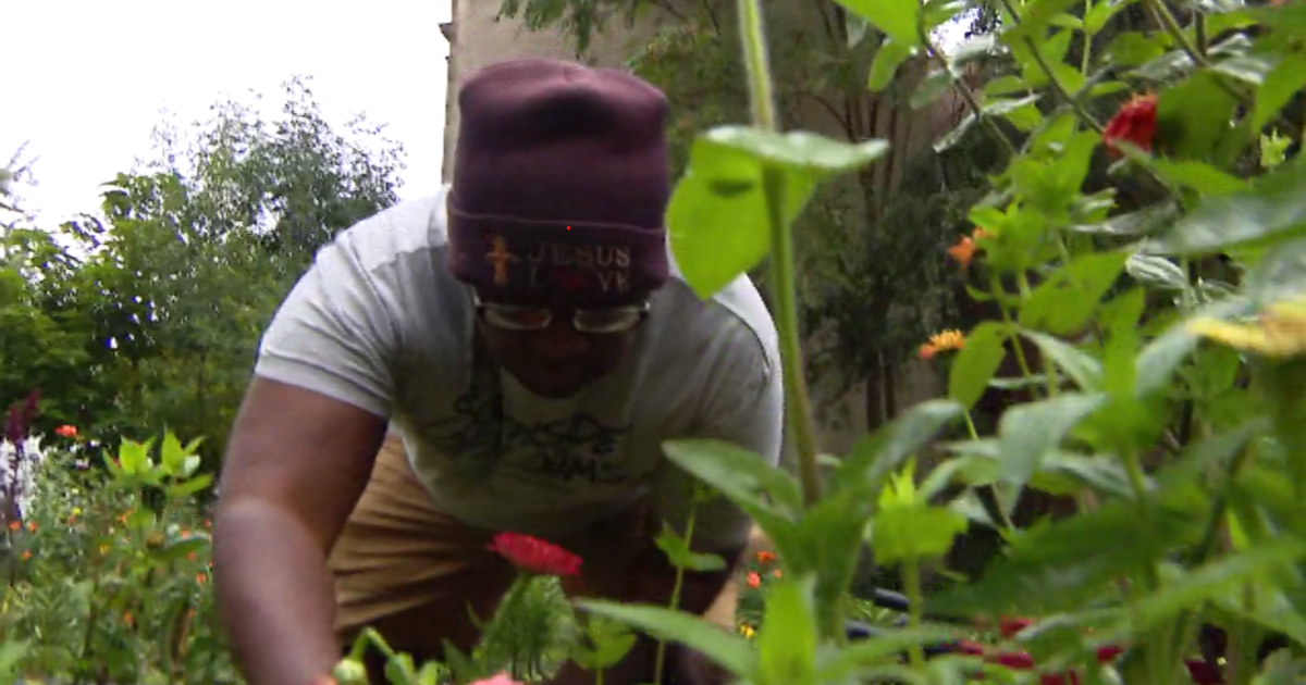 South Side Chicago business owner wants neighborhood to bloom with flower business