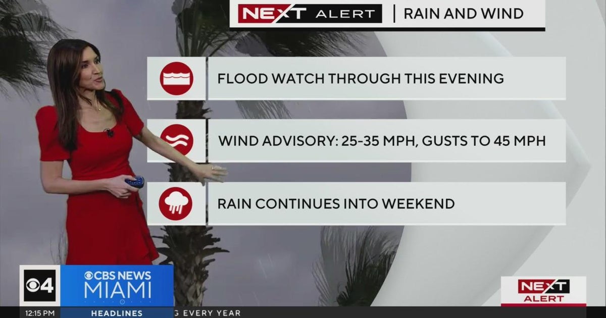 Miami Weather for Thursday 12/14/2023 12PM - CBS Miami