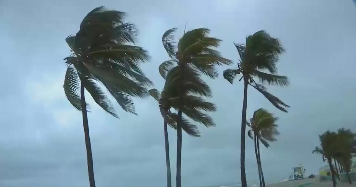 Quite a few metropolitan areas are getting ready for a damp and windy next pair of days