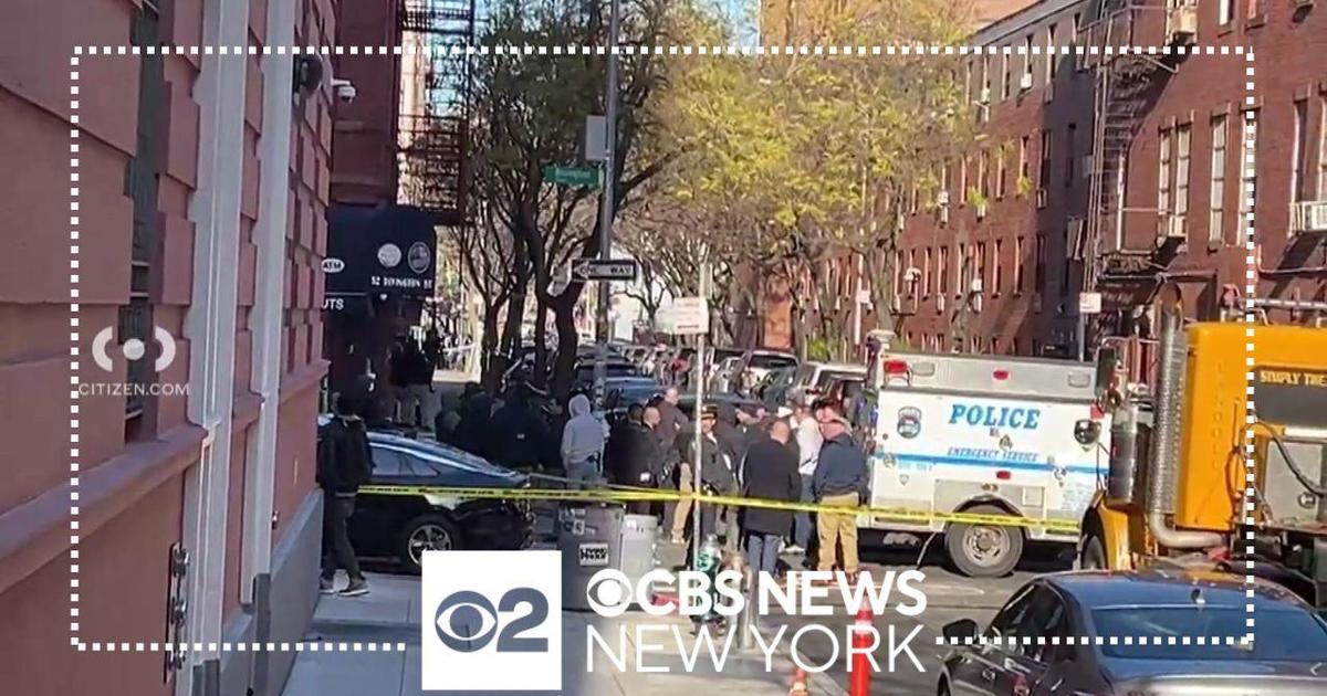 Barricaded Suspect Shot, Killed By NYPD Officers Serving Warrant - CBS ...