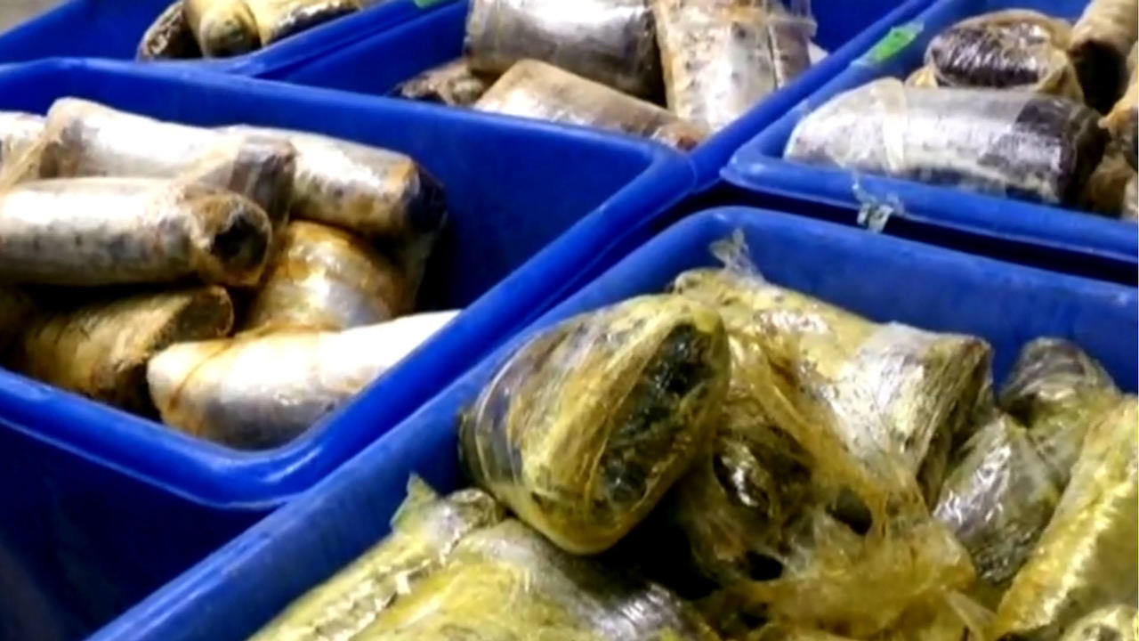 1.3 tons of cocaine found hidden in frozen fish in Portugal: 