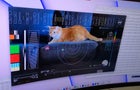 Taters the Cat in video sent from space 