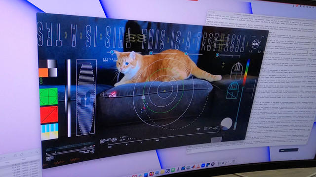 Taters the Cat in video sent from space 