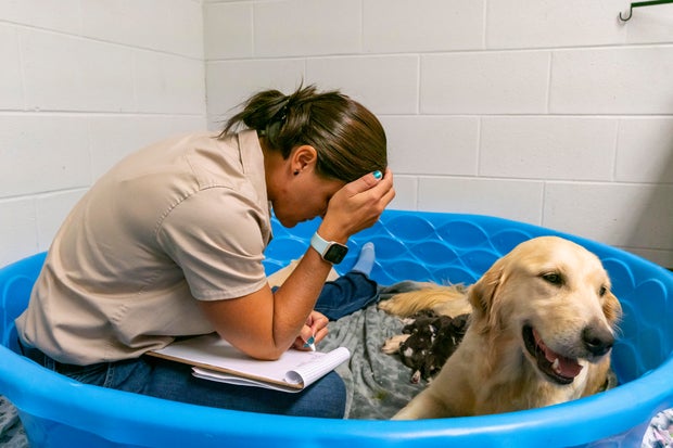 painted-dog-foster-mom-cassie-and-jami-3b.jpg