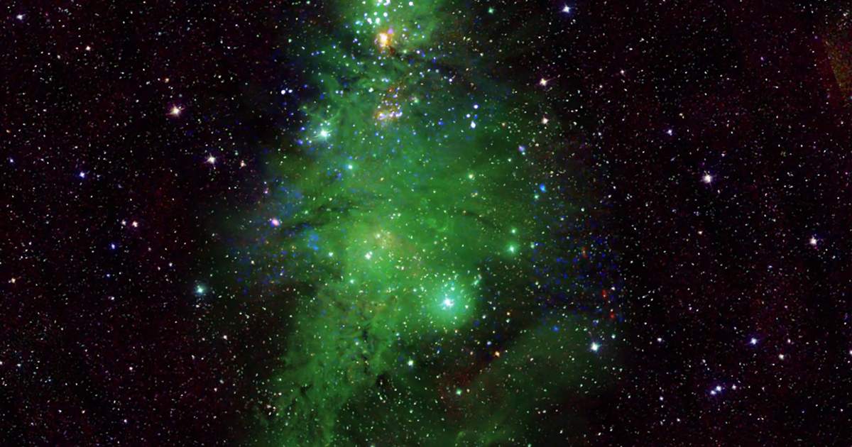 НАСА открива „Клъстер от коледни елхи“ от звезди, светещи в космоса: „Започва много да прилича на космос“