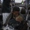 Mercy flights taking injured Gazans from war zone to medical facilities in Abu Dhabi
